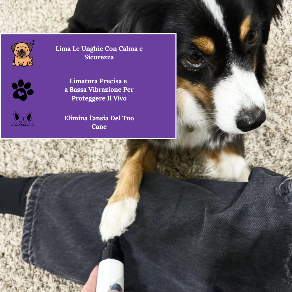 Hiwoof Smooth Groom - Lima Elettrica Per Cani