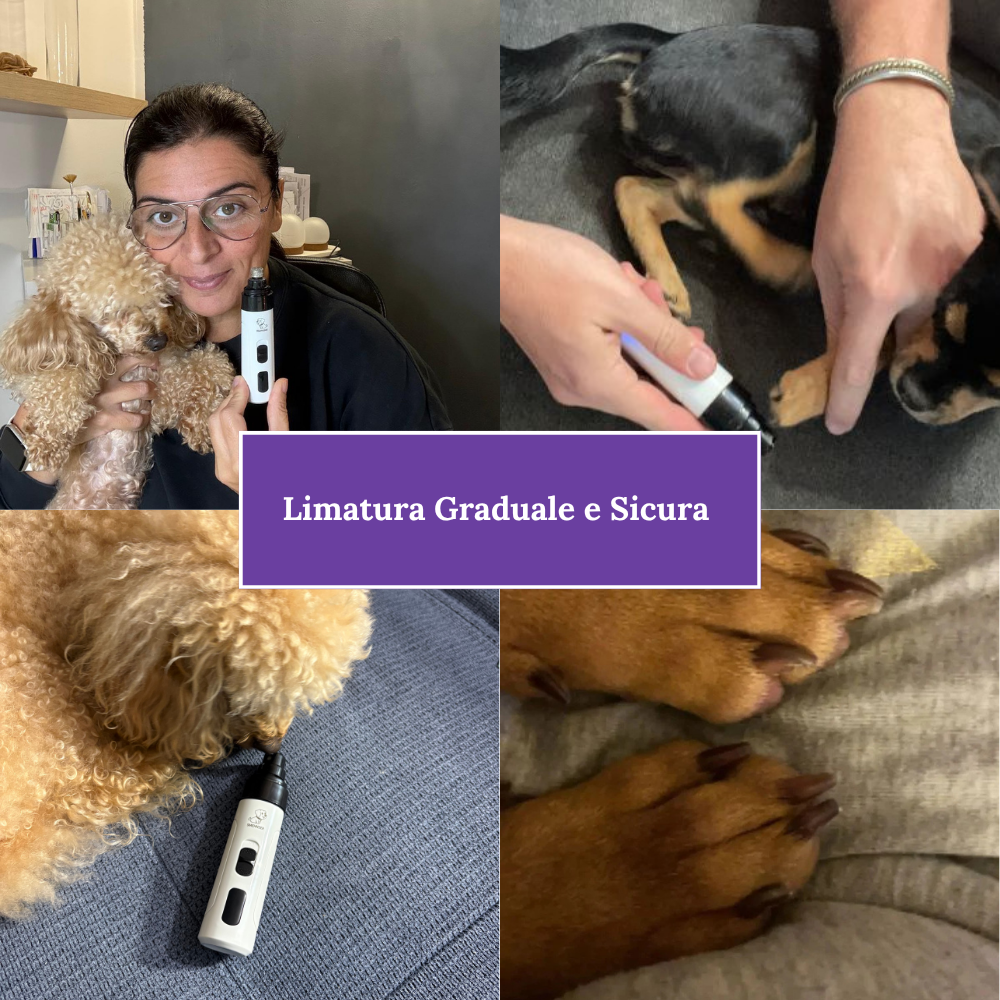 Hiwoof Smooth Groom - Lima Elettrica Per Cani